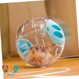 تصویر توپ همستر مدل 858 