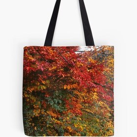 تصویر ساک خرید طرح رنگ پاییز 