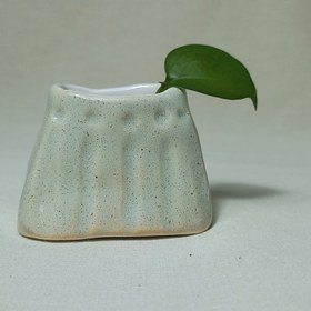 تصویر گلدان مینیاتوری سبز مینیمال 