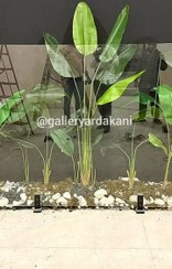 تصویر اجرای پروژه کاشت درخت نیکولا 