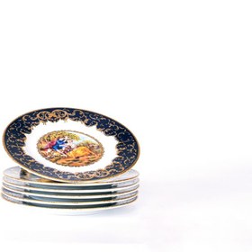 تصویر پیش دستی گرد NTC8028 