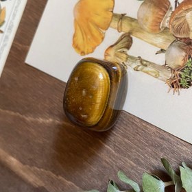 تصویر چشم ببر ۰۲ 