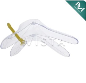 تصویر اسپکلوم بکر دلفینی کوچک 