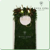 تصویر گرین وال آسپارا استوایی 