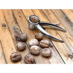 تصویر گردو شکن اعلا 