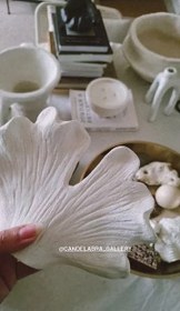 تصویر مرجان بزرگ 