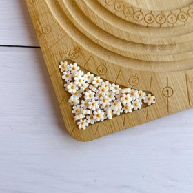 تصویر گل بابونه صدفی 