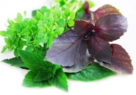 تصویر برگ ریحان 100 گرم