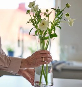 تصویر گلدان شیشه ای ایکیا 