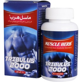 تصویر ماسل هرب کپسول 