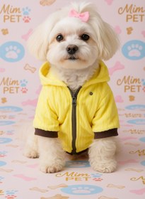 تصویر هودی پاییزه سگ و گربه 