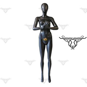 تصویر مانکن زنانهDR-M70 