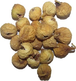 تصویر انجیر ریز شیرازی 