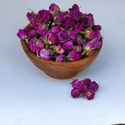 تصویر غنچه گلسرخ لاله زار | غنچه گل محمدی 