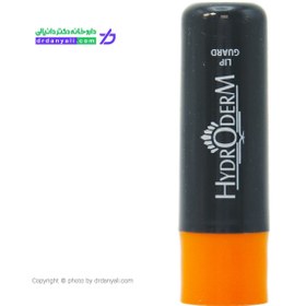 تصویر بالم لب مردانه هیدرودرم مدل Protects مقدار 4.5 گرم Hydro Derm Protects Lip Balm 4.5 gr