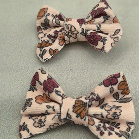 تصویر پاپیون پاییزه (جفتی) 