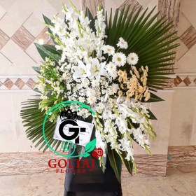 تصویر تاج گل موژانا 