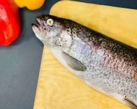 تصویر ماهی قزل آلا یک کیلو گرم 