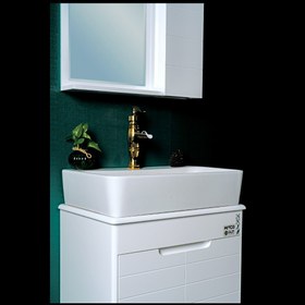 تصویر میتکو مدل فیتونیا کد 19 