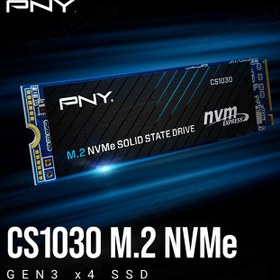 تصویر اس اس دی اینترنال پی ان وای CS1030 M.2 NVMe 250GB ا PNY CS1030 M.2 NVMe Gen3x4 250GB SSD PNY CS1030 M.2 NVMe Gen3x4 250GB SSD