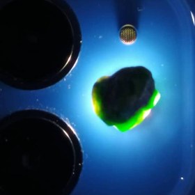 تصویر راف جواهری دمانتوئید k514 