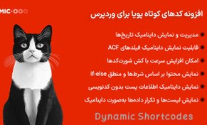 تصویر افزونه کدهای کوتاه پویا برای وردپرس | Dynamic Shortcodes 