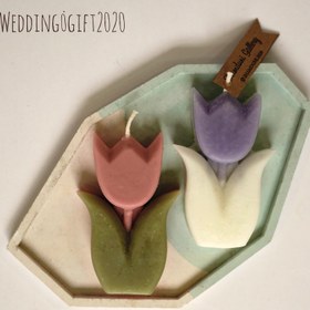 تصویر گل لاله 