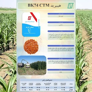 تصویر فروشگاه آتیه سبز