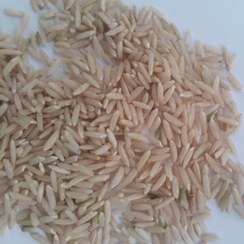 تصویر برنج قهوه ای ممتاز طارم هاشمی 10 کیلوگرمی 