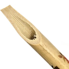 تصویر قلم جنوبی طرح دار 