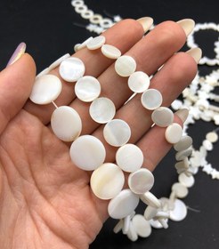 تصویر مهره صدفی ریسه ای 