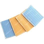 تصویر پد فیزیوتراپی چینی 