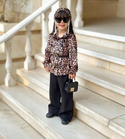 تصویر سه تکه مجلسی پلنگی 