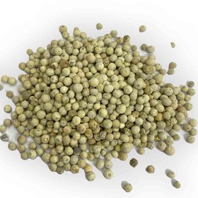 تصویر فلفل سفید 