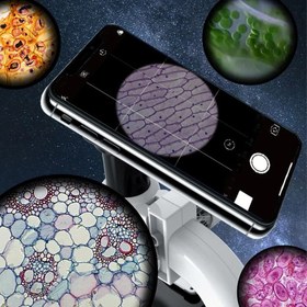 تصویر میکروسکوپ مدل SD222 