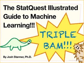 تصویر دانلود کتاب The StatQuest Illustrated Guide to Machine Learning!!! کتاب انگلیسی راهنمای مصور StatQuest برای یادگیری ماشین!!!