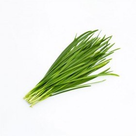 تصویر تره کوهی کد 97 