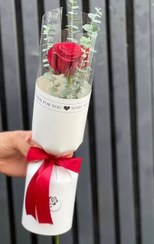 تصویر تک شاخه گل رز کد ۴۰۸ 