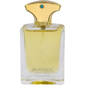 تصویر عطر مردانه جوبیلیشن 33 میل برندینی Brandini Amouage Jubilation Perfume For Men 33Ml