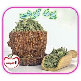 تصویر پونه کوهی اعلا – 250گرم 