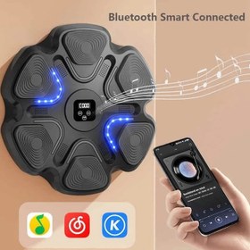 تصویر کیسه بوکس موزیکال ZL-9 