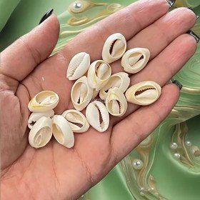 تصویر صدف طبیعی ده عددی 