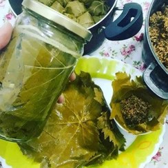 تصویر برگ مو ،برگ مو مخصوص دلمه،بهار1404،یک کیلویی گیلان.رشت 