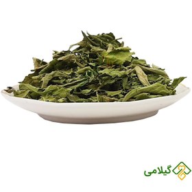 تصویر به لیمو گیلامی (Lemon Verbena) 