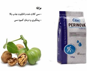 تصویر Copper Perinova مس کلاته پرینوا 