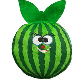 تصویر کیف CD/DVD فانتزی ۲۴ عددی طرح هندوانه مدل Watermelon 