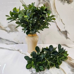 تصویر بوته گل شفلرا بزرگ مصنوعی 