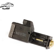 تصویر باک پران شاهین 