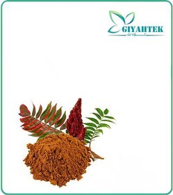 تصویر عصاره سماق خشک (پودری) 