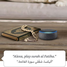 تصویر اسپیکر آمازون Amazon Echo Dot 3rd Gen smart bluetooth speaker Charcoal 